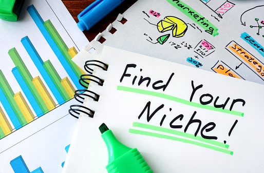  Find Your Niche