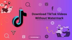 Download TikTok Videos Without Watermark