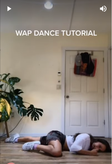 Trending TikTok Dances - Wap