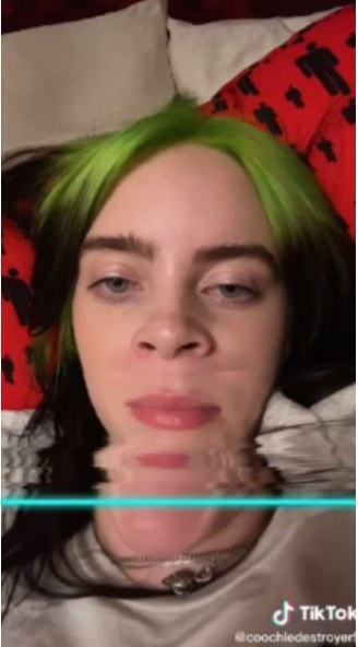 Billie Eilish 